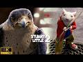 Stuart Fights Falcon To Save Margalo Stuart Little 2 2002