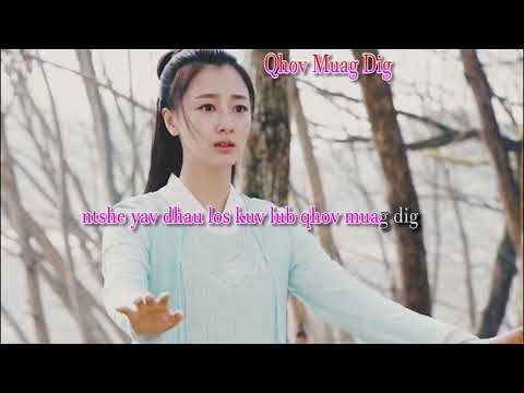 Qhov muag dig karaoke Paj tsua thoj