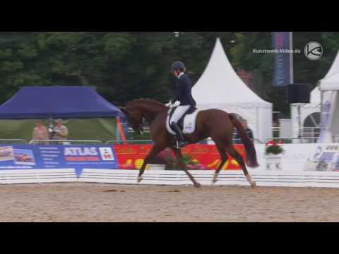 320 Daria Don Nobless x Rubin Royal 1