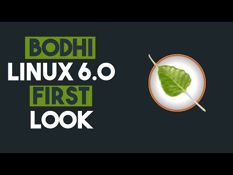 Bodhi Linux 6.0 First Look