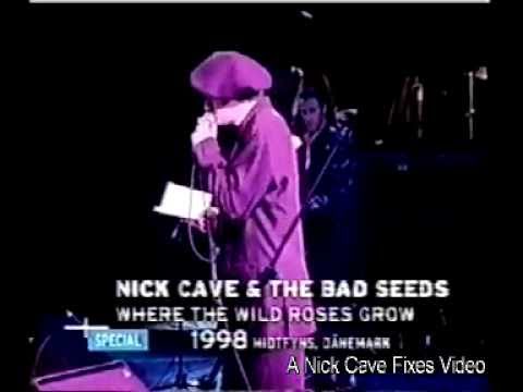 Nick Cave & Blixa Bargeld - Where the Wild Roses Grow (Live 1998)