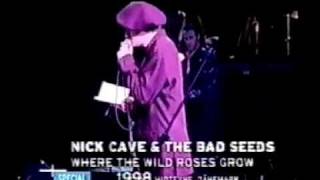 Nick Cave &amp; Blixa Bargeld - Where the Wild Roses Grow (Live 1998)