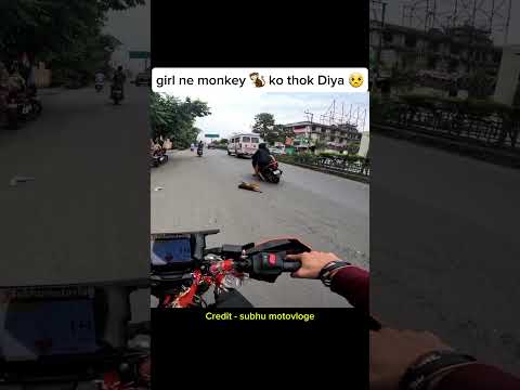 girl ne monkey🐒 ko thok Diya😥 #shorts #motovlog #biker #monkey #rider #monkeys #girl