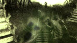 Schloss Tegal - Black Static Transmission