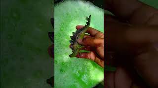 Download lagu Cleaning Jurassic World Dinosaur 🔥 STEGOSAURUS 2 🔥 is this Jurassic World Dominion ❓❓❓ #shorts mp3 Download lagu Cleaning Jurassic World Dinosaur 🔥 STEGOSAURUS 2 🔥 is this Jurassic World Dominion ❓❓❓ #shorts mp3