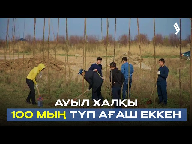 Аядай ауыл халқы 100 мың түп ағаш еккен
