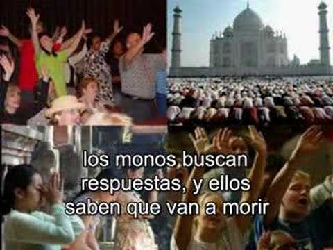 Imagen de previsualización de YouTube