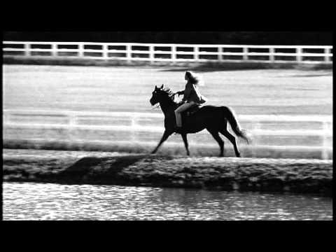 Mariah carey never forget you