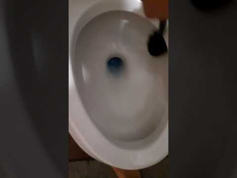 Cleaning Toilet