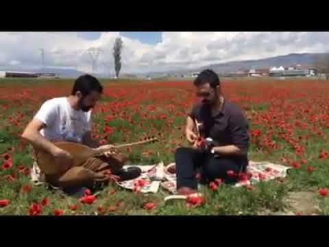 Hani - Zafer Güler