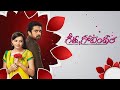 Geetha Govindam Telugu Serial