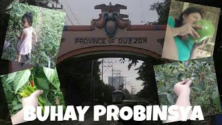 preview picture of video 'QUEZON PROVINCE VACATION | VLOG #10'