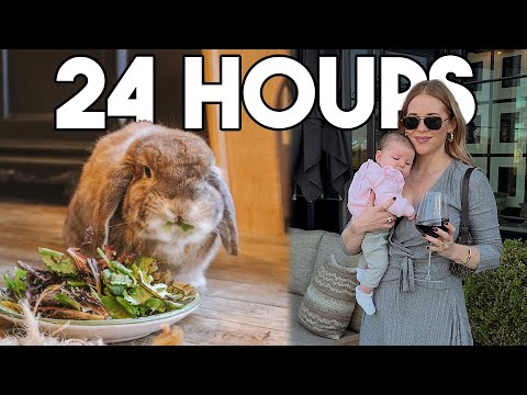 24 HOURS with a Rabbit and a Newborn