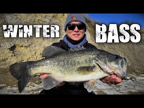 Catching Largemouth Bass in the Winter?? (Boundary Dam, Saskatchewan)