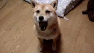 [問卦] 會取艾怡良這種名字的本來就想紅吧？