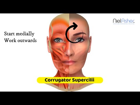image-How do you release a corrugator muscle?