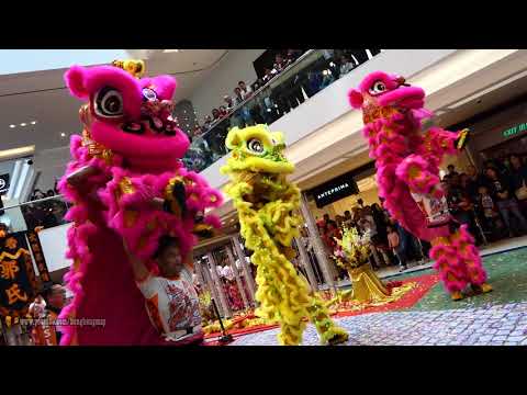 2018-Feb-20 #香港中國農曆新年 醒獅表演 #郭氏功夫金龍醒獅團 #LionDance Performance @ 九龍塘#又一城 Festival Walk, Kowloon Tong