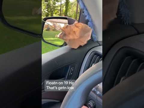 19 Hz float on 2 12s