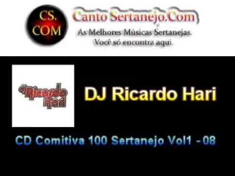 CD Comitiva 100 Sertanejo Vol1