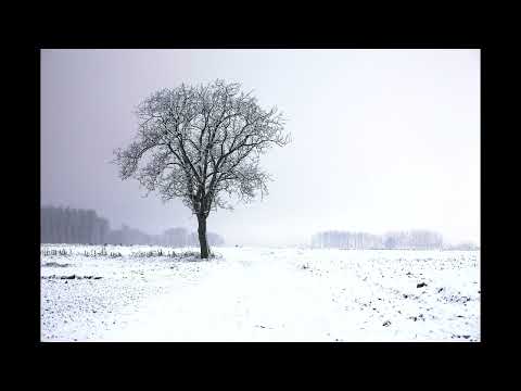 Daniel Blomqvist - Frost