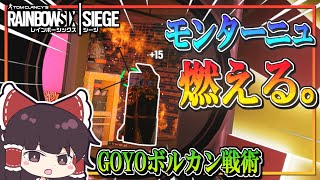 【ゆっくり実況】D部隊が行く！レインボーシックス シージ #51【R6S】
