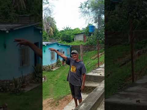 Comunidad Loma Linda del municipio #Tinaco del estado #Cojedes #modosdevida