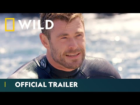 Shark Beach with Chris Hemsworth - Official Trailer | Sharkfest | National Geographic Wild UK