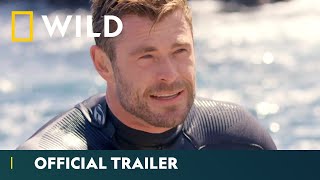 Trailer Preview Image