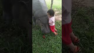 เที่ยวสนามบิน ตอน2ขวบ