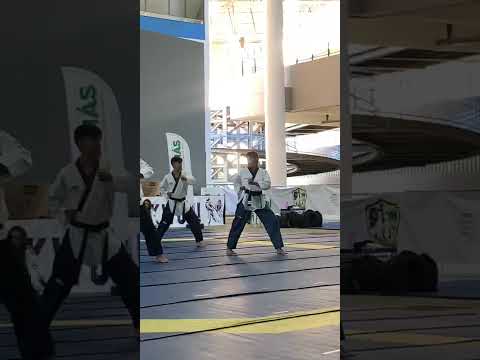 Taekwondo indiara-goias, seminário de poomsae 2026,mestre Cláudio Higuchi  Goiânia Goiás