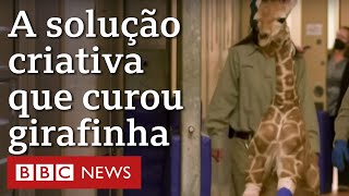 Miniatura do vídeo