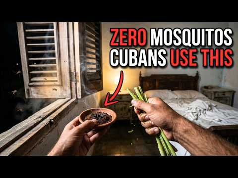 The Cuban Secret to Keeping Mosquitoes Out of Your House All Night