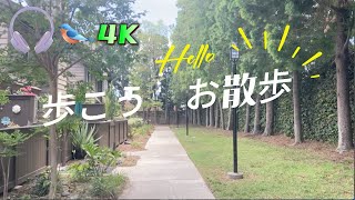 一緒にお散歩【爽やか景色】アメリカ住宅、近所、アーパトコミュニティ軽い歩く|ウォーキング|運動ビデオ|運動動画|有酸素運動|優しい運動|朝散歩|楽しい運動