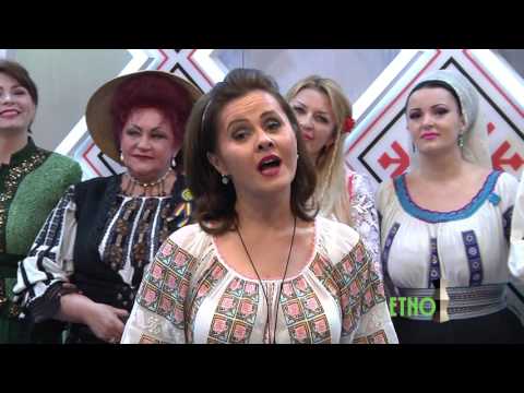 Niculina Stoican Mi a trecut viata muncind