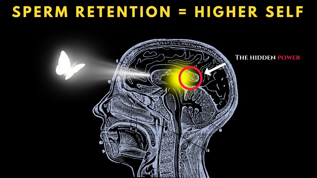 SPERM RETENTION is the DEATH of Your Old World (Mind Blowing)