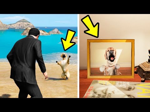 Я НАШЕЛ ПОТЕРЯННУЮ СОБАКУ МАЙКЛА! ЭТО ВОЗМОЖНО?! (GTA 5)