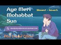 Aye Meri Mohabbat Sun Main Ye Mashwara Doonga | Slowed And Reverb | Mohd Aziz | @vikasdhakadofficial