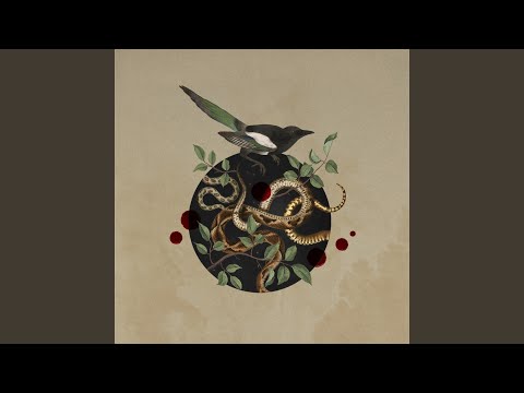 download lagu mp3 mp4 Fish Selfish, download lagu Fish Selfish gratis, unduh video klip Fish Selfish