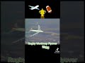 1995 Rugby World Cup Final Flyover