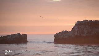 Alan Watts | The Vault | The Joker Part 3 (full)