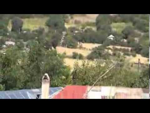 CABESTI /  BC - SAT NATAL