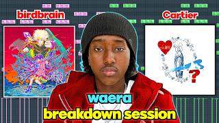 waera shows how birdbrain was made (slayr & vax)