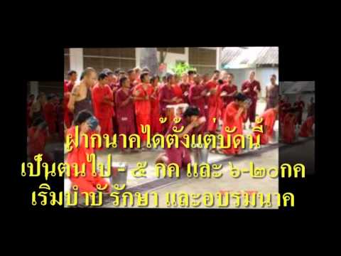 พรูเหล็กค้อนของการระงับ ปริมาณและความแข็งแรงใน Homeopathy
