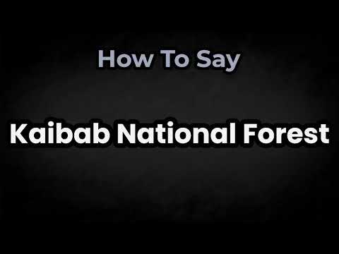 How To Pronounce Kaibab National Forest? (CORRECTLY) Meaning & Pronunciation