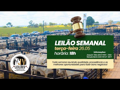 JV LEILÕES - AO VIVO  - 26/05/2026 / SANCLERLÂNDIA - GO
