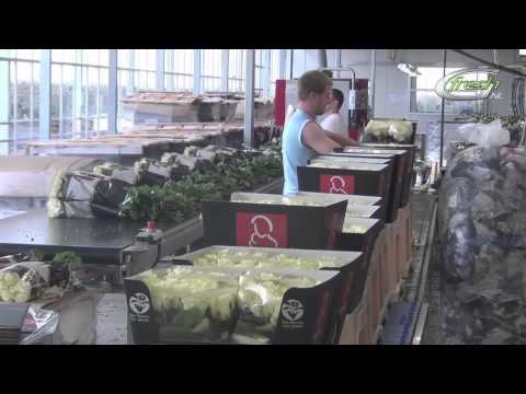 Marjoland (english subtitles)