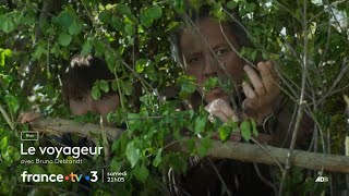 Bande Annonce La for�t perch�e