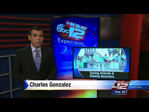 Video: Vigil held to raise awareness of preventing pet euthanasia