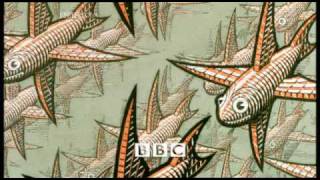 Maurits Cornelis Escher Leeuwarden 17 061898 Laren 27031972 The Mathematical Art Of MC