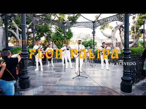 Flor Pálida - Bertín y Su Condesa (Video Oficial)